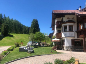 Appartamenti Hacoli Selva Di Val Gardena